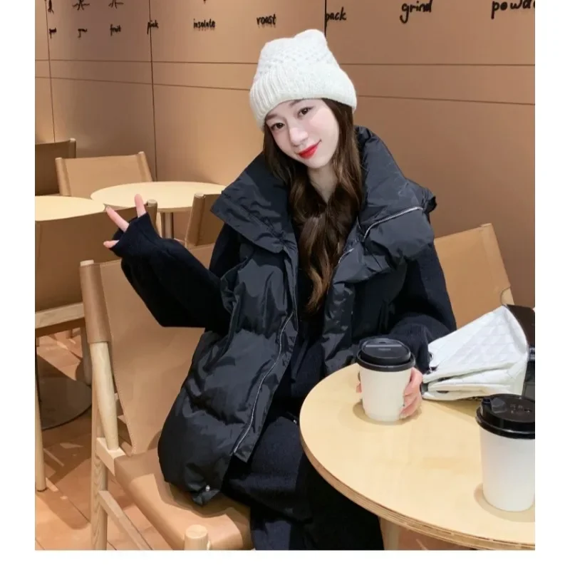 Autumn and Winter New Women's Loose Outer Vest Fashionable Internet Famous Down Cotton Vest Fashionable Casual Cotton Vest