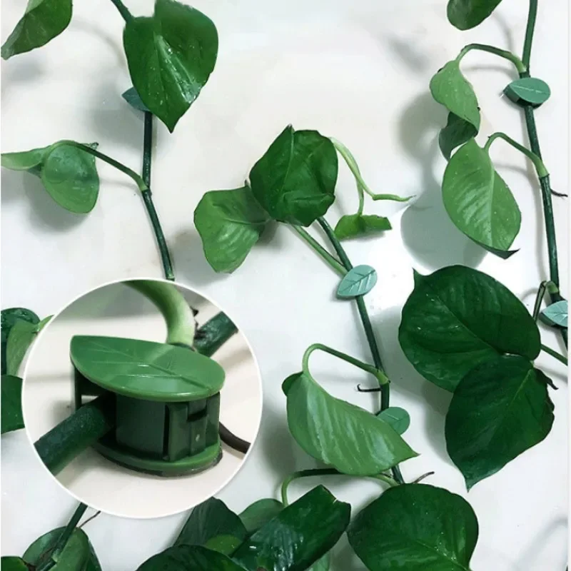 Green plant wall climbing device wall green basket fixed flower buckle climbing vine suction cup climbing hook clip