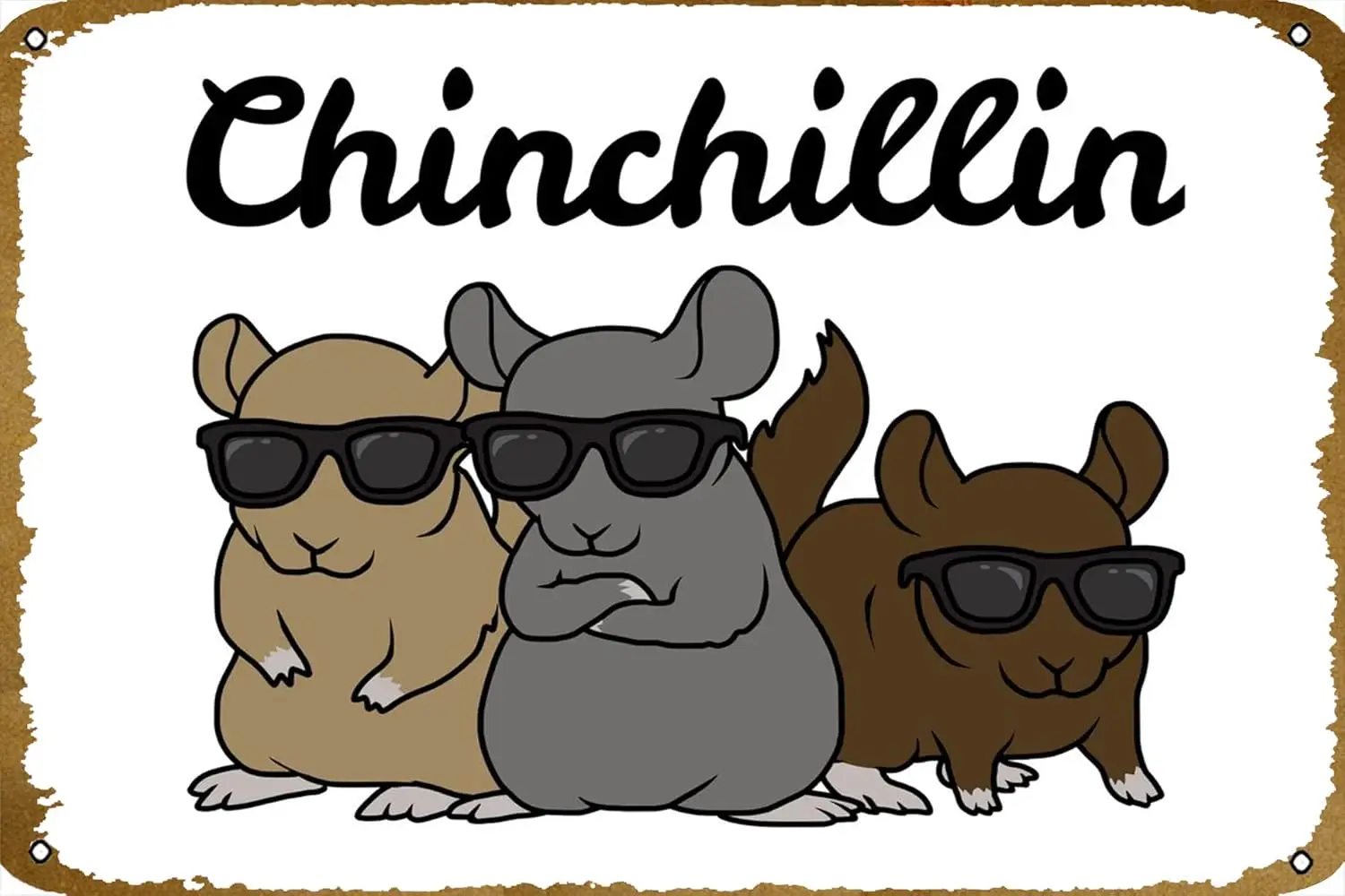 Chinchilla Pet Gift Kids Poster Metal Tin Sign 8