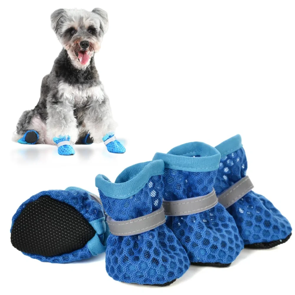 #3 Latest Puppy Boots Updates