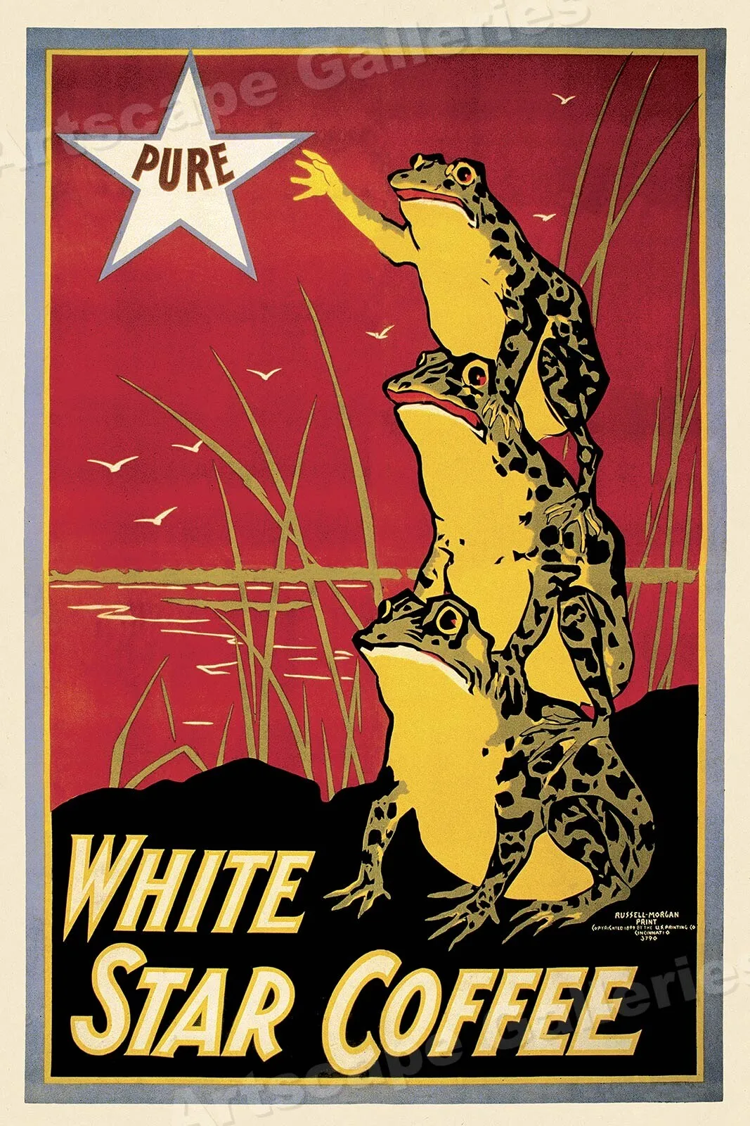1899 White Star Coffee Vintage Style Frog Advertising Poster Wall Painting Home Decor
