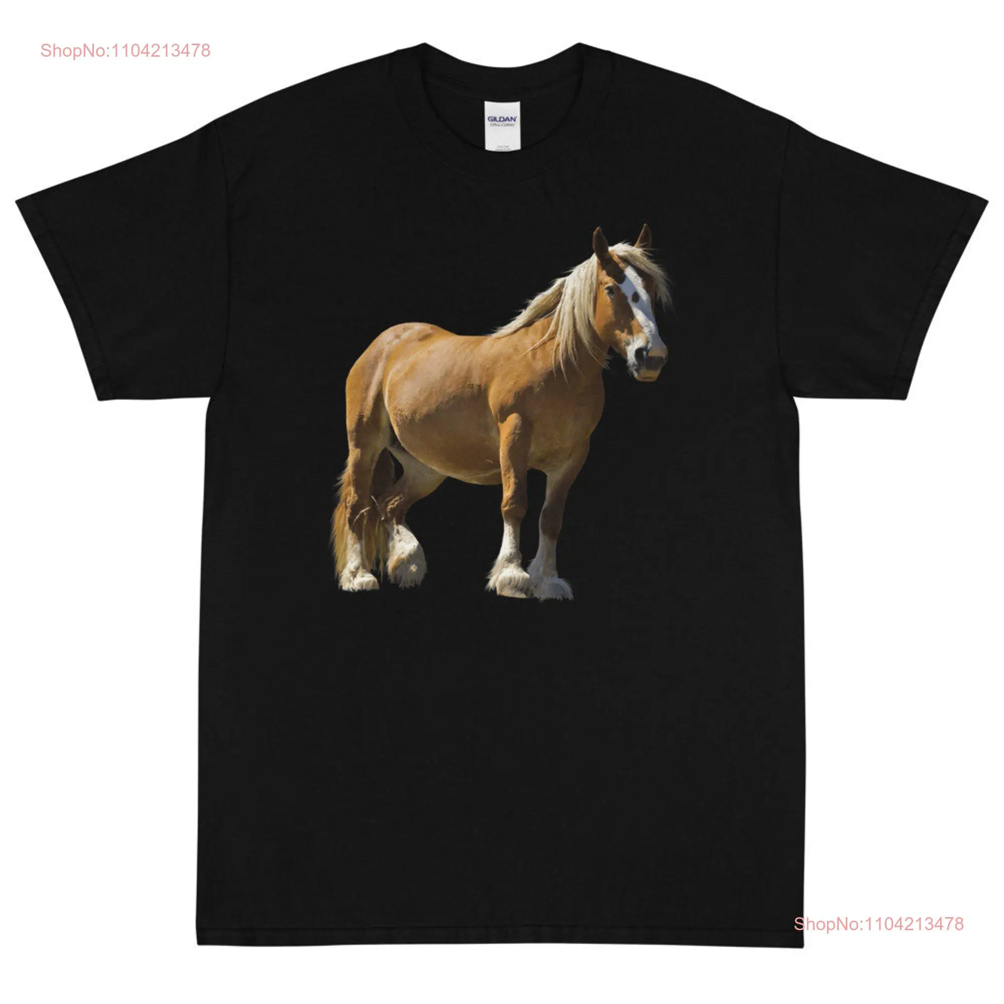 Belgian Draft Horse  T Shirt long or short sleeves