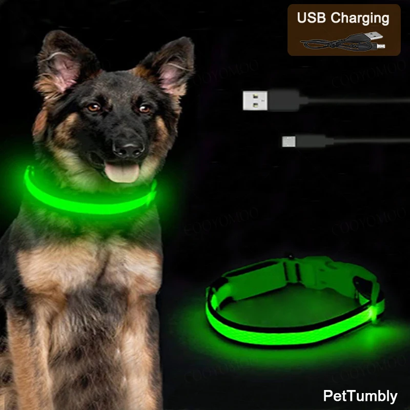 #62 Best Selling LED Dog Collars