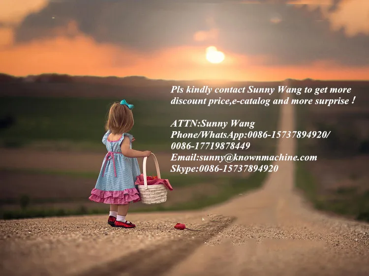 2023 New Arrival Holiday Truck Food Trolley Car Food Kiosk Dining Hall Van