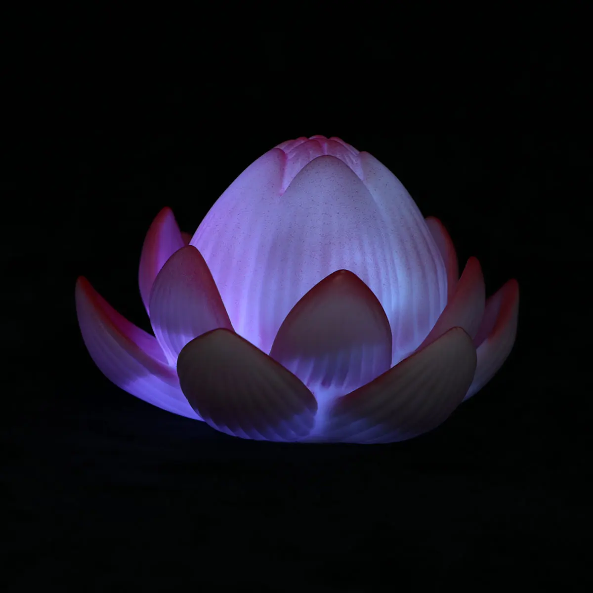 

Lotus LED Light Night Lamp