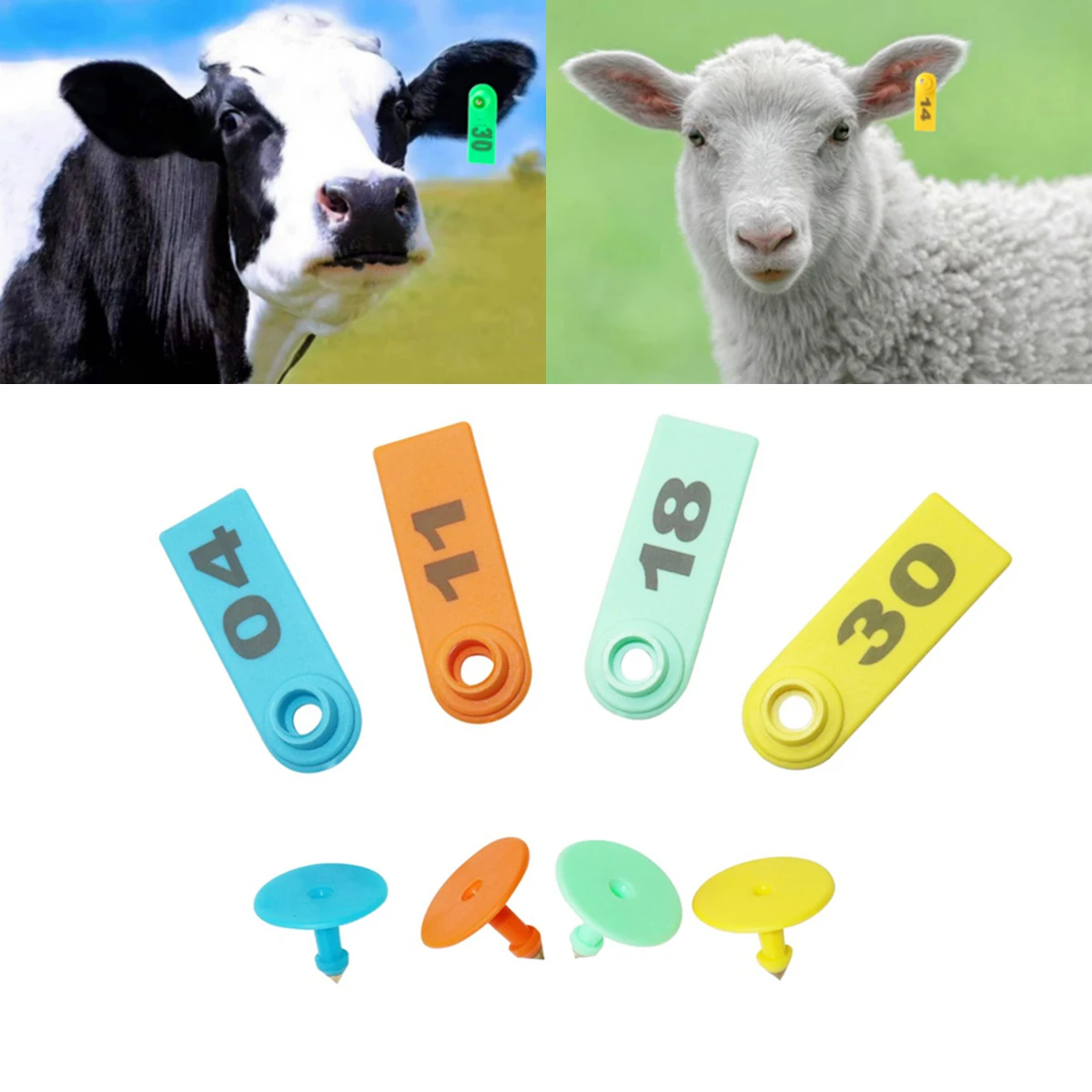 Sheep Cattle Ear Tag With Lettering Laser Typing NO.01~30 Copper Head Earring Multi-Color Animal Identification Cards 1Set/30Pcs