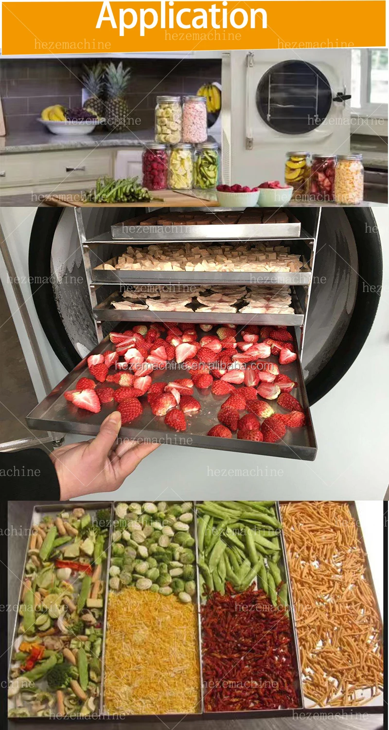 4~6kg Small Vacuum Drying Machine  Dryer Industrial Mini Home Laboratory Food Lyophilizer