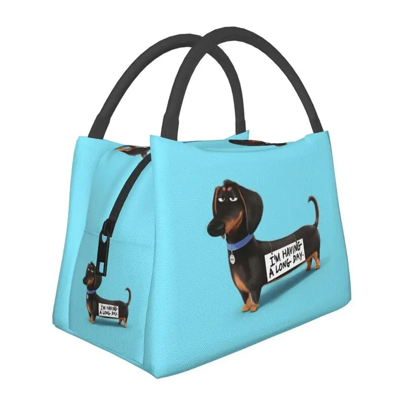 Custom Kawaii Dachshund Thermal Insulated Lunch Bag Sausage Badger Wiener Dog Portable Lunch Container for Camping Meal Food Box