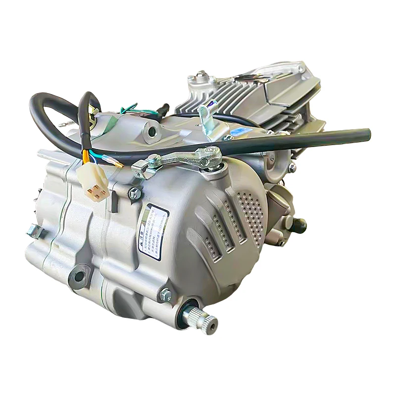 

W190 Top Quality Motorcycle Dirtbike Oil Cooling Zongshen Motorcycle Engine Assembly For Off Road Motorcycle