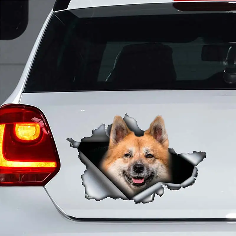 Icelandic Sheepdog Car Sticker Waterproof Vinyl Decal Bumper Rear Window Laptop Self-adhesive Decal For Car Accessories SH237