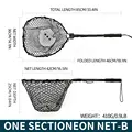 One sectioneon-B