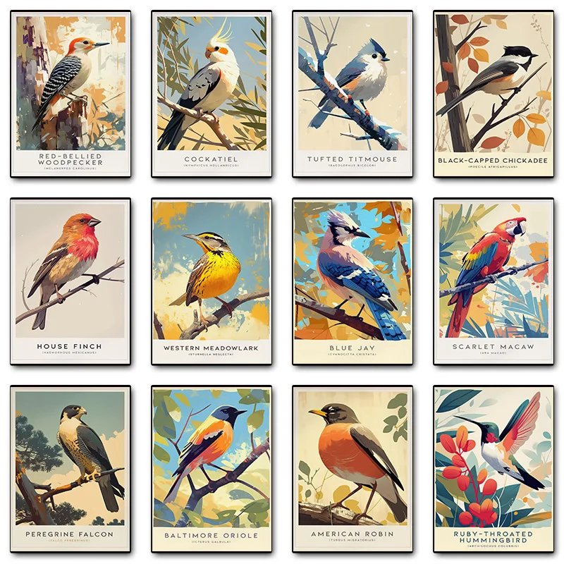 Baltimore Oriole Songbird Barn Swallow House Finch Vibrant Bird Poster Print Wall Art Pictures Canvas Painting Room Home Decor