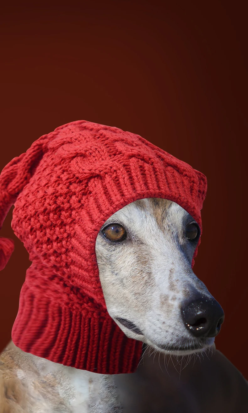 Weiche, dehnbare, gestrickte Hundemütze mit Bommel, winddichte, warme Winter-Hundekopfbedeckung, gemütliche Haustiermütze für Spaziergänge im Freien. – Detail 11