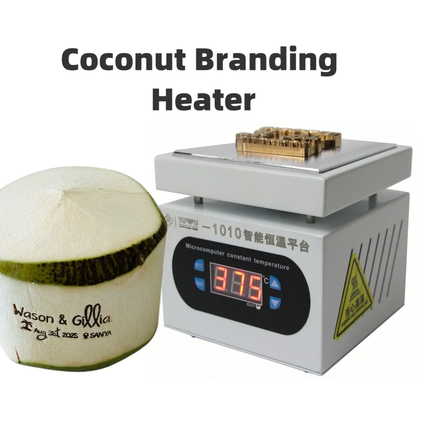 

Customize LOGO Coconut Branding Iron Heating Machine Weddling Coconut Stamp Wood Leather Burger Personalized Electric Thermostat