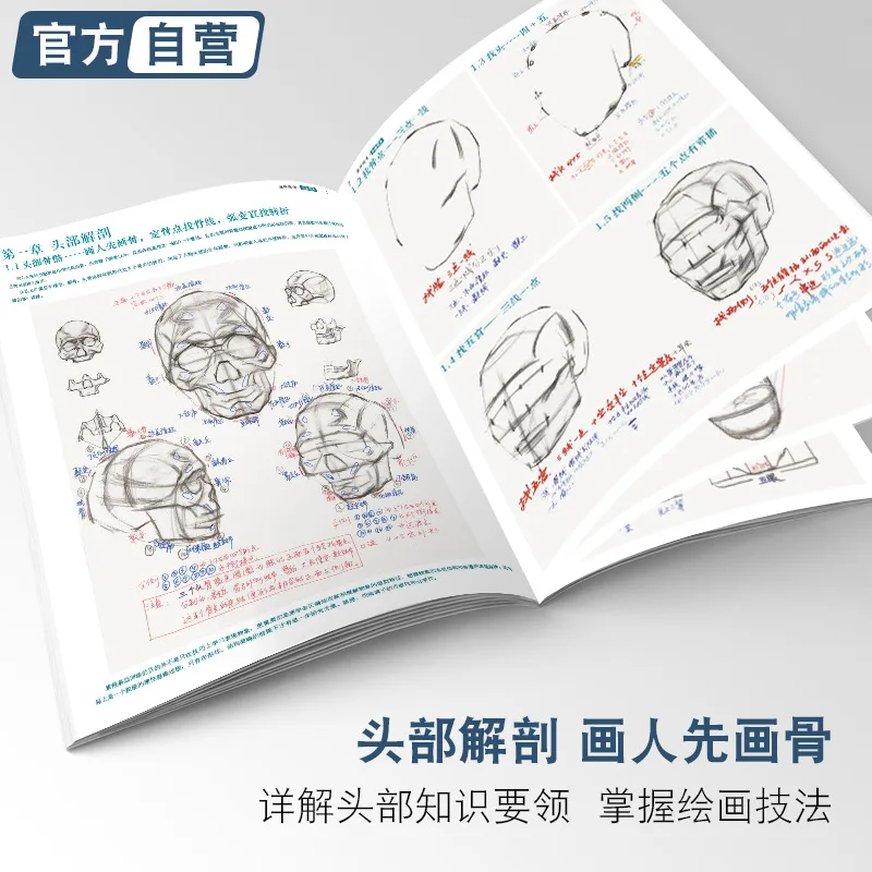 Peak joint entrance examination avatar photo, sketch, portrait, facial features combination, color bust, postgraduate entrance e