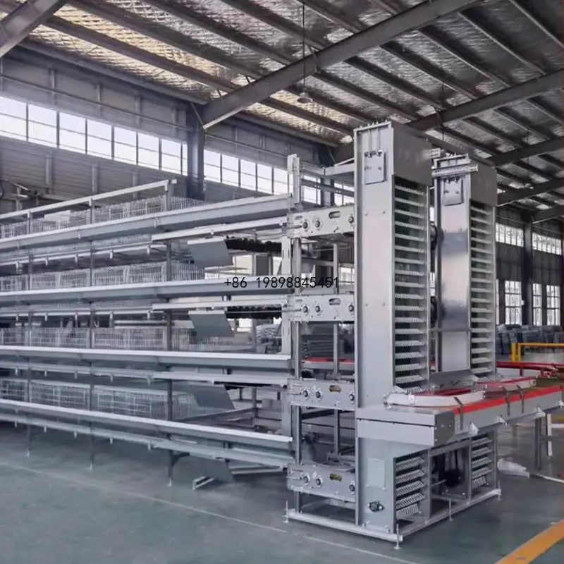 Chicken Cages Galvanized Multifunctional Battery Layer Steel Automatic Egg Collection Poultry Farming Equipment