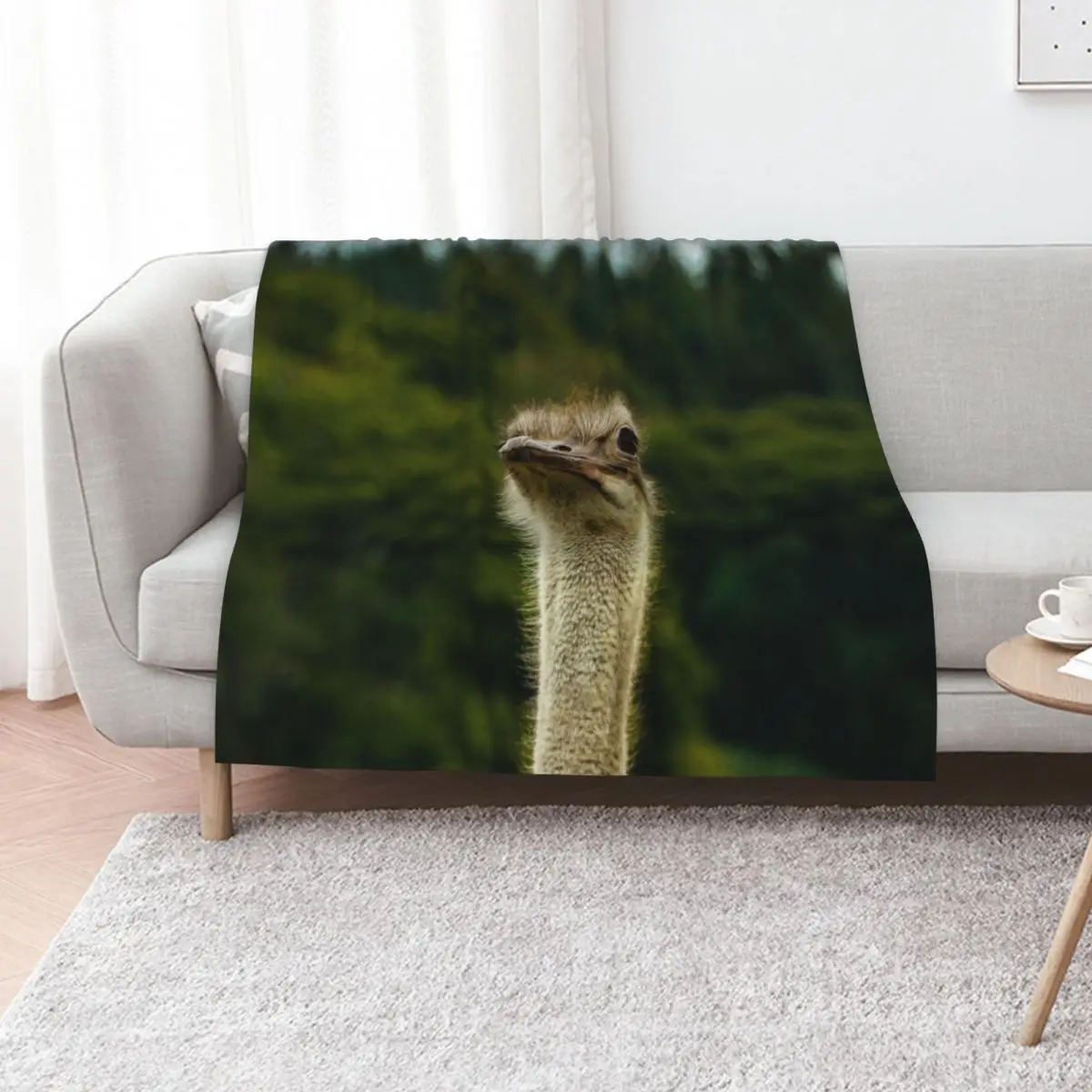Ostrich Stood Tall Photograph - Ostrich Photography Throw Blanket Decorative Sofas Fashion Sofas For Baby blankets ands Blankets