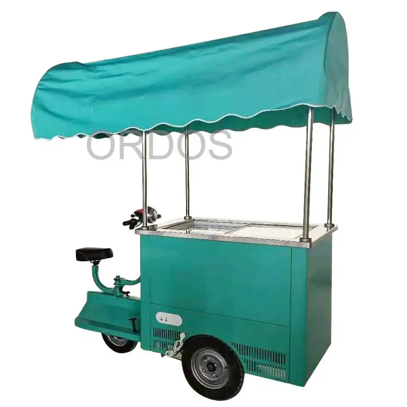 

Fully Equipped Mobile Electric Bicycle Restaurant 48V DC Ice Cream Display Cabinet Customize Logo Tart Ice Cream Cart