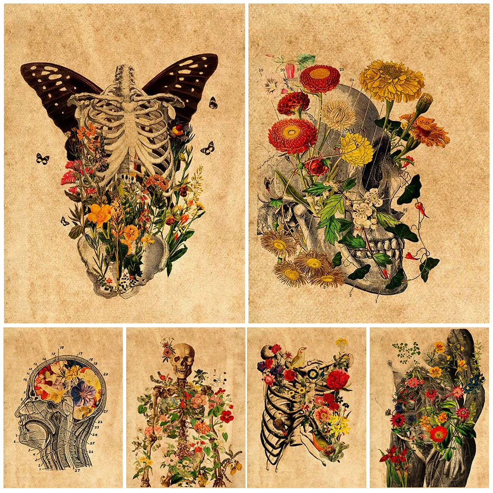 

Анатомия человека, тропические растения, винтажный плакат