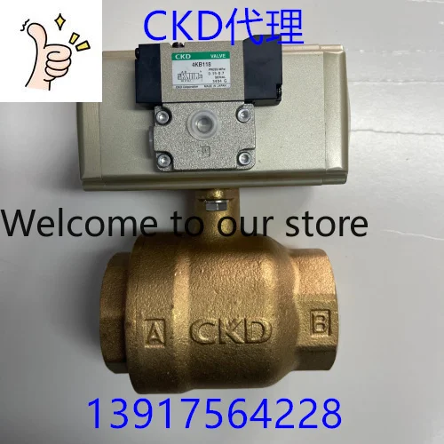 2025 Ckd Solenoid B…