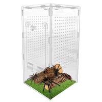 Jumping Spider Terrarium Mantis Acrylic Terrarium Spider Enclosure Ventilated Reptile Animal Cage for Breeding Observation Frog
