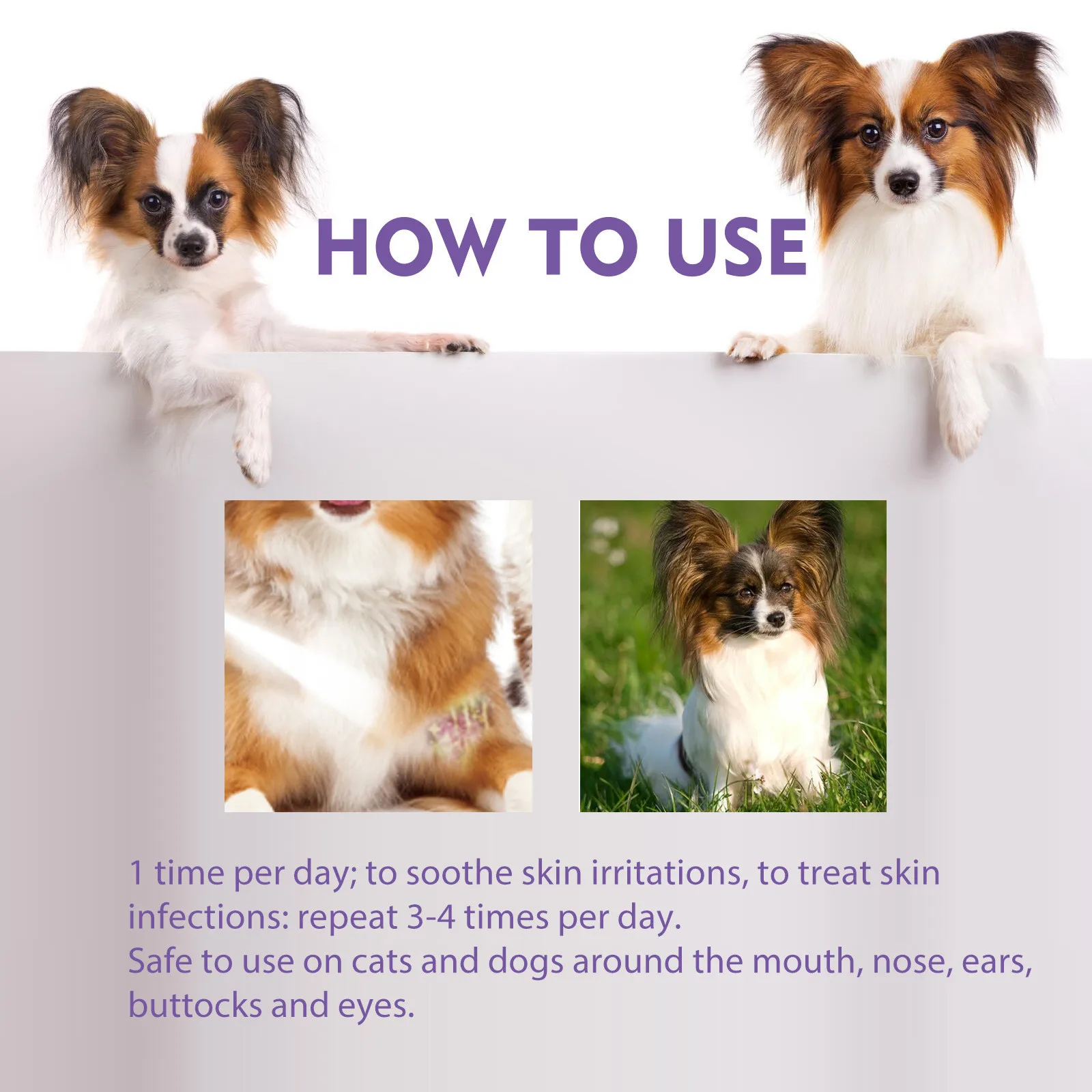 Thumbnail 3 - #46 Low Cost Dog Diapers That Work