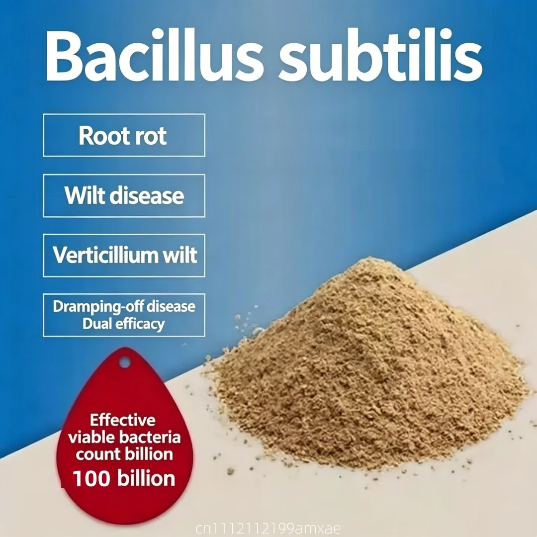 High Activity Bacillus Subtilis Powder Organic Probiotic Fertilizer For Crop Plant Growth Aquarium Water Purification Livestock