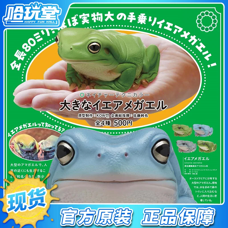 Hot Ikimon Australian Green Tree Frog Gashapon Capsule Toy Hexagonal Dinosaur Frog Resale Amphibians Illustration Encyclopedia