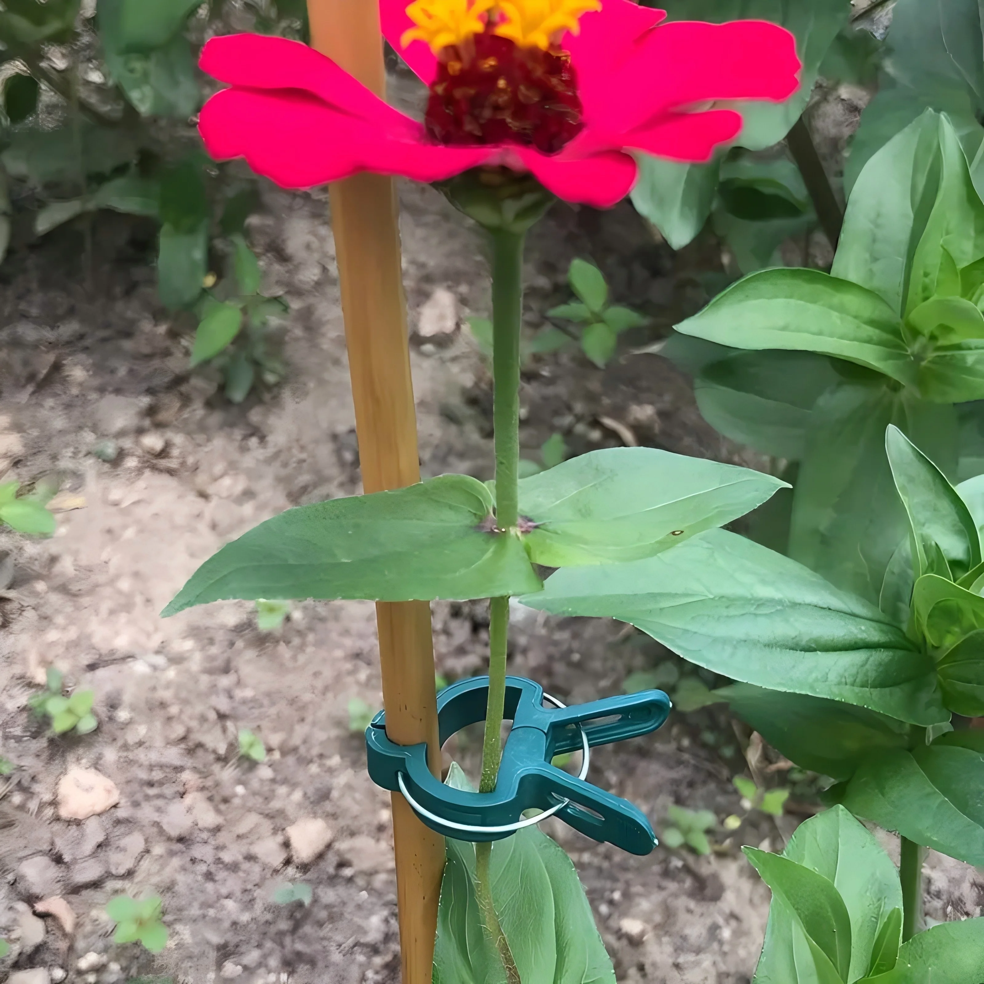 Essential Gardening Tools - 20 Clipes Ajustáveis para Suporte de