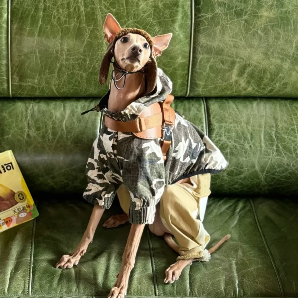 italy-greyhound-clothing-spring-outdoor-windproof-jacket-for-whippet-autumn-vintage-camouflage-hooded-zipped-coat-for-bellington