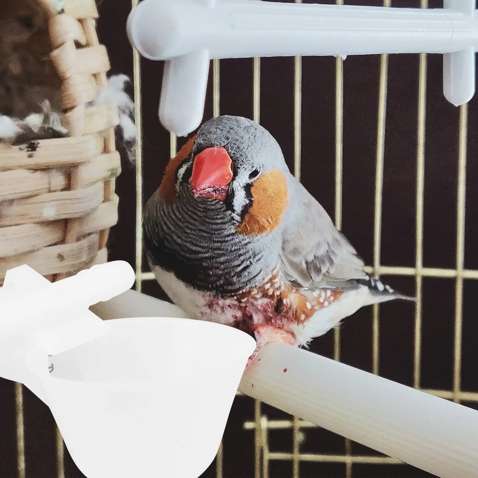 

20 PCS Automatic Drinking Fountain Poultry Tool Bird Cage Water Bowl System Birds Feeder Pigeon Dispenser Container Waterer