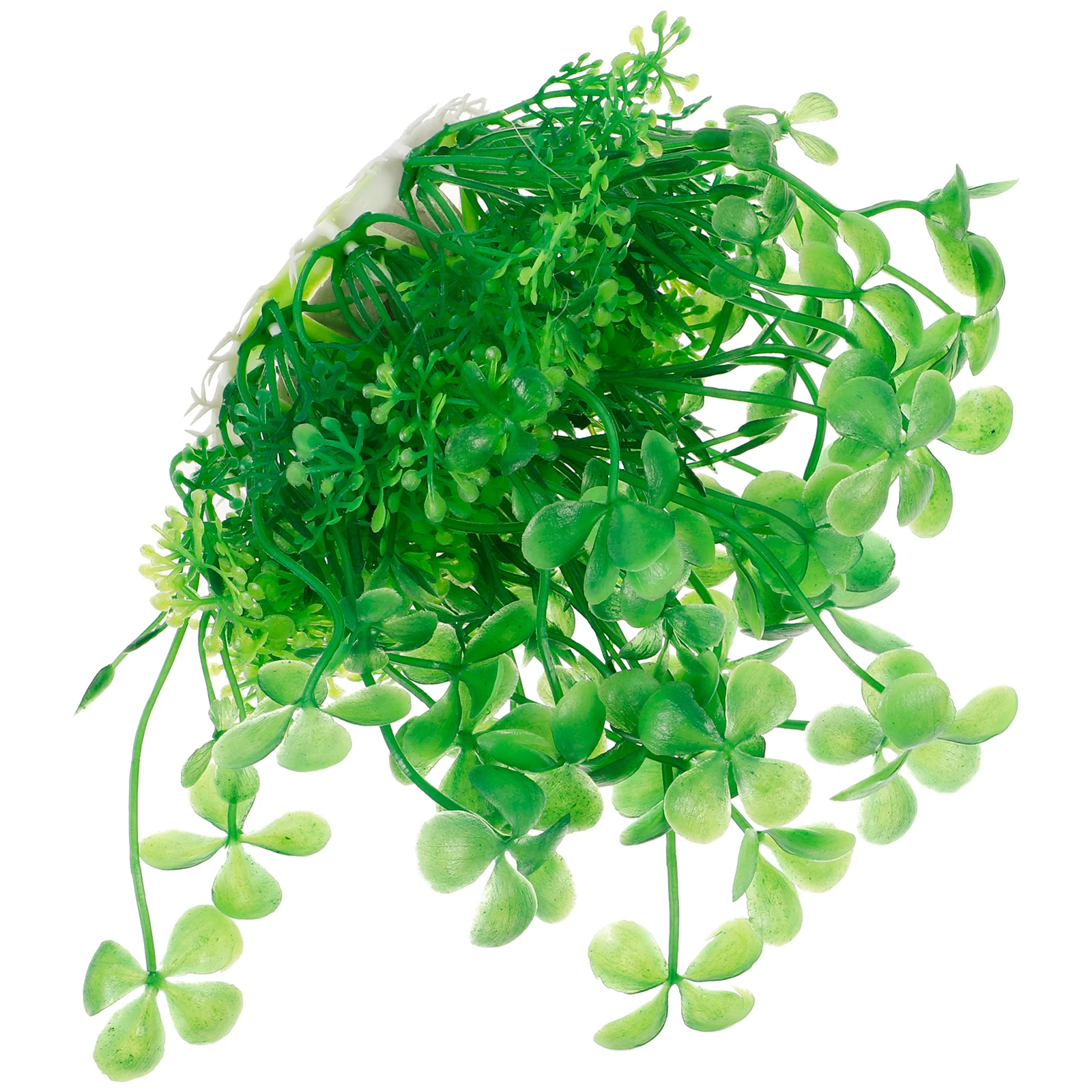 

Artificial Aquatic Artificial Plant For Fish Tank CO63H Green High Realism Plastic Fish Tank Plants Aquarium Decorations