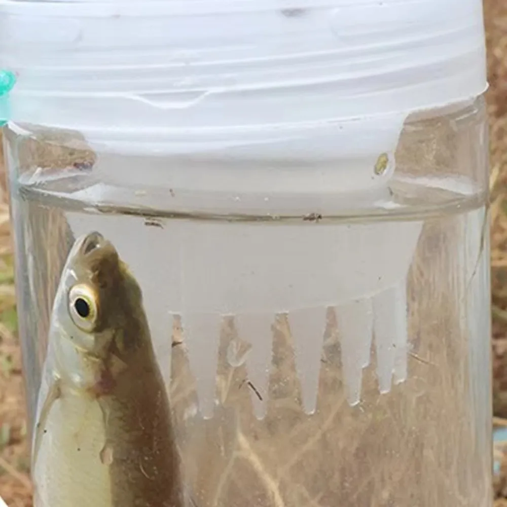 Trampa para peces botella reutilizable de plástico ligero infantil - imagen 5