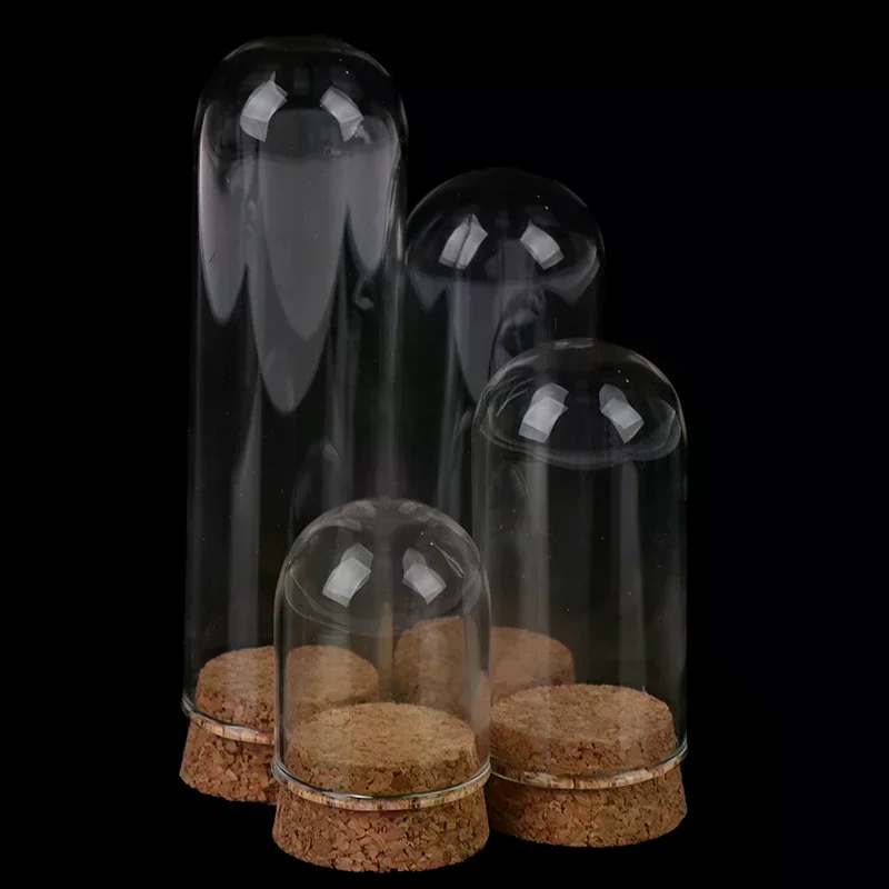 1/6 Doll Glass Dome Display Wood Cork Bell Jar With Wooden Base Decoation Craft