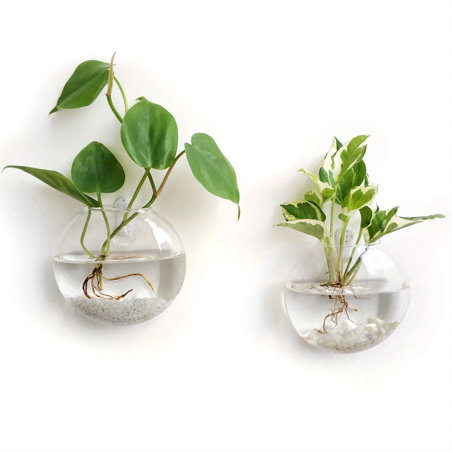 2PCS Wall Hanging Glass Terrarium - Self-Watering Hydroponic Planter for Home Office Decor, Handmade Round Crystal Vase