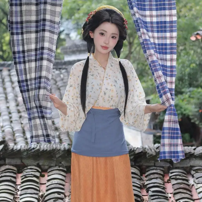 Wei Jin Dynasties Hanfu Dresses Women Traditional Chinese Clothing Halloween Cos Costume Ancient Hanfu Ancient Festival Outfit view 5