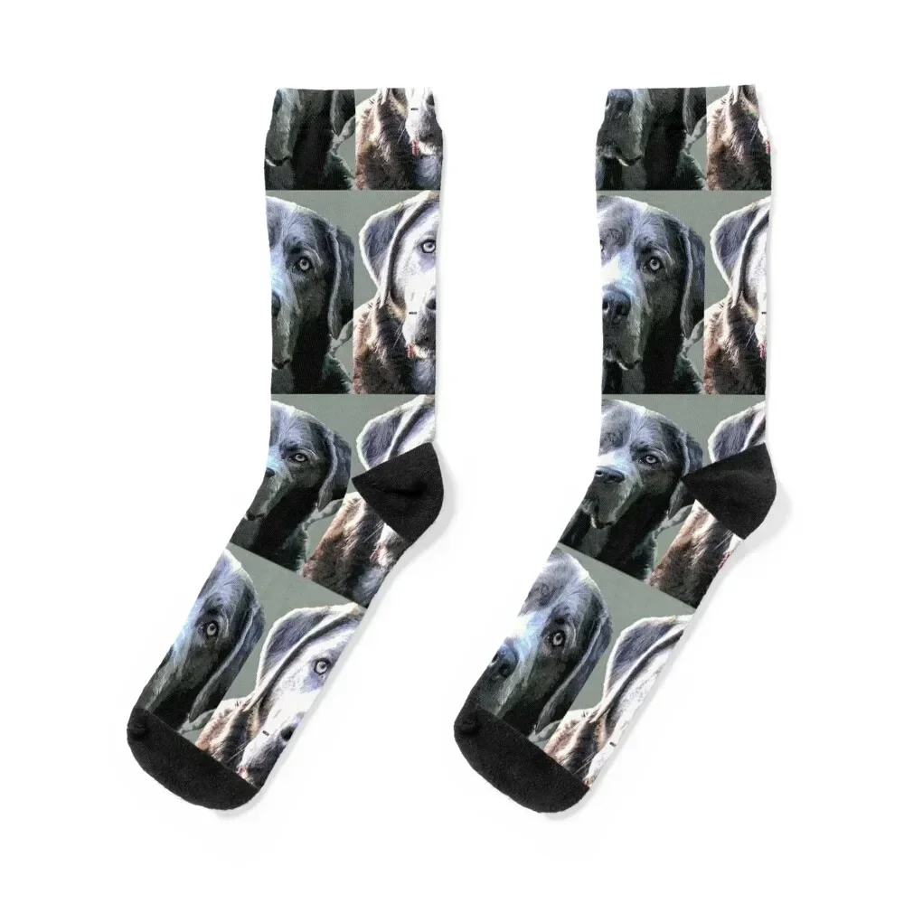 

Silver Lab Gray Socks moving stockings Soccer football halloween Socks For Women Men's
