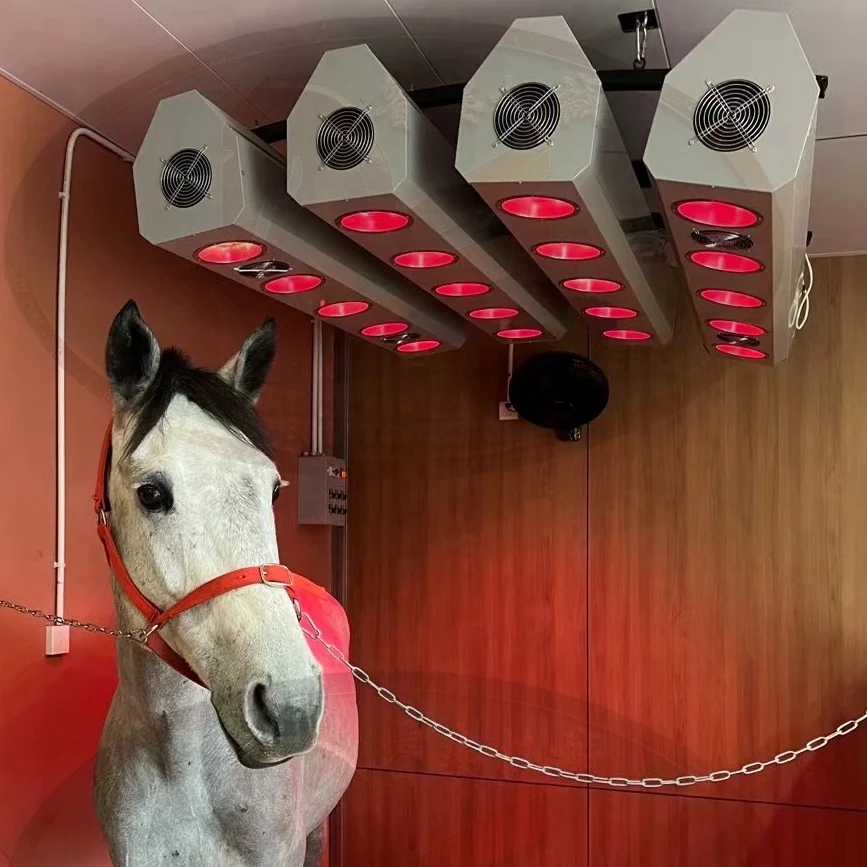 

Лампа для солярия с лошадью, домашний инструмент для профессионального ухода за лошадьми и домашними животными