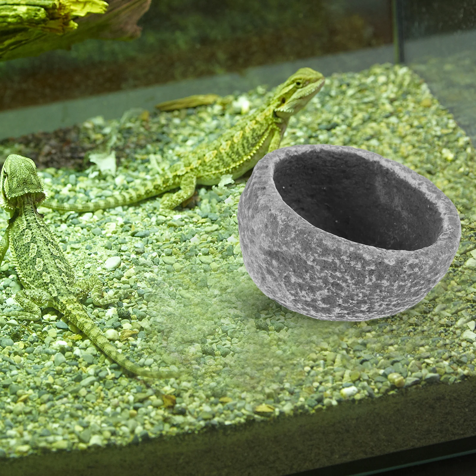 

Reptile Feeding Bowl Resin Anti-Escape Design For Lizard Tortoise Hedgehog Bird Parrot Food Water Dish Terrarium Accessories