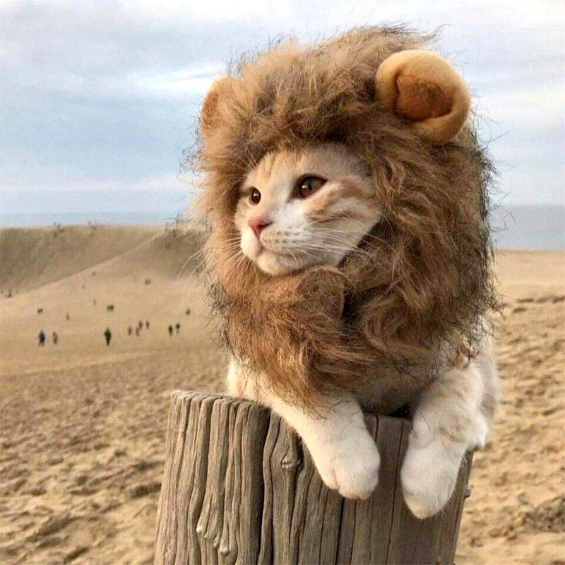 Lion Mane Wig For Pet Cats Small Dog Costume Warm Mane Cap Hat For Cat Dogs Fancy Costume Cosplay Toy Halloween Pet Supplies