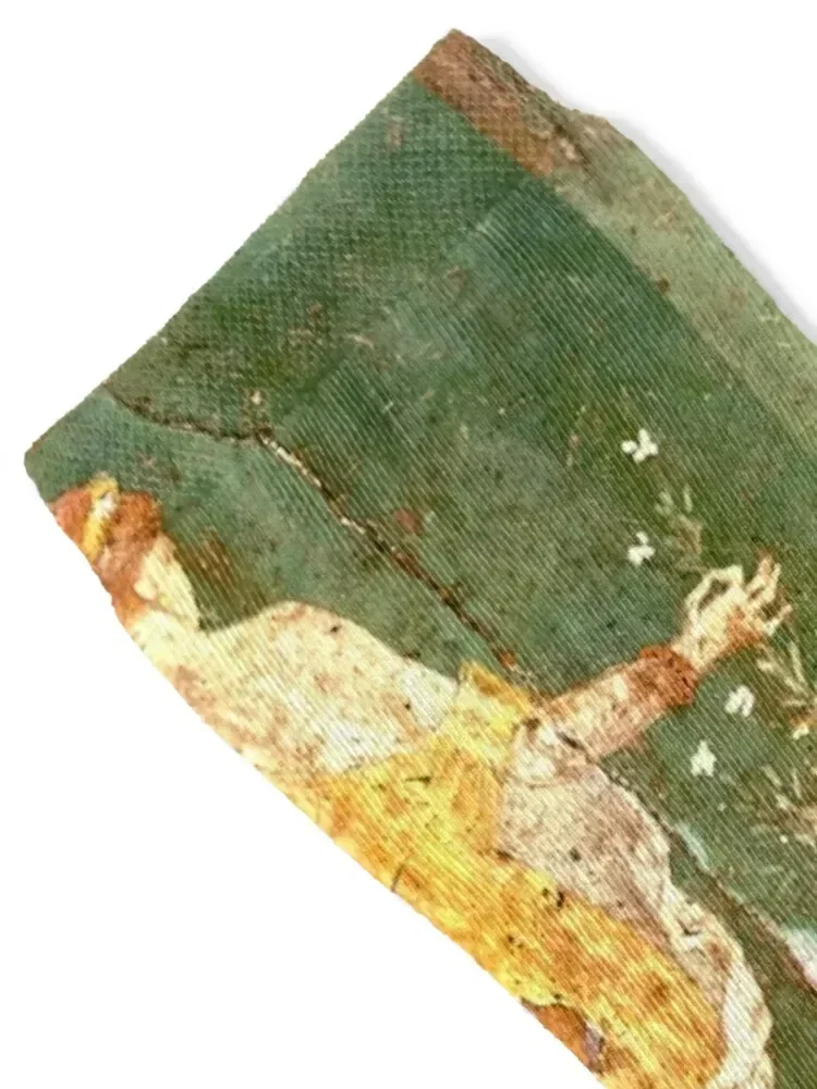 Flora or Primavera (Spring) Socks new year summer valentine gift ideas kids Man Socks Women's