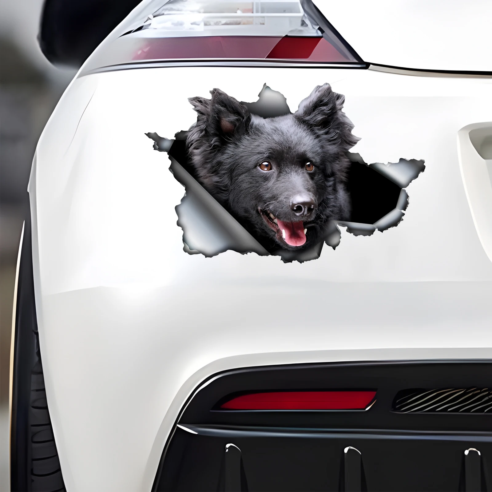 DK484 #   ملصق سيارة Black Mudi Dog ثلاثي الأبعاد، ملصق مقاوم للماء ممتع للسيارات والشاحنات والدراجات النارية والجدران والنوافذ والمواد البلاستيكية