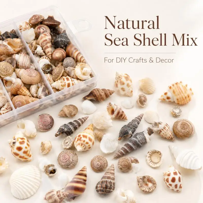 28g Meeresmuscheln Spiralen Winzige Ozeanspiralen Muschelschalen Bastelbedarf Aquarium Dekoration Landschaftsgestaltung Zubehör Fotografie Requisiten
