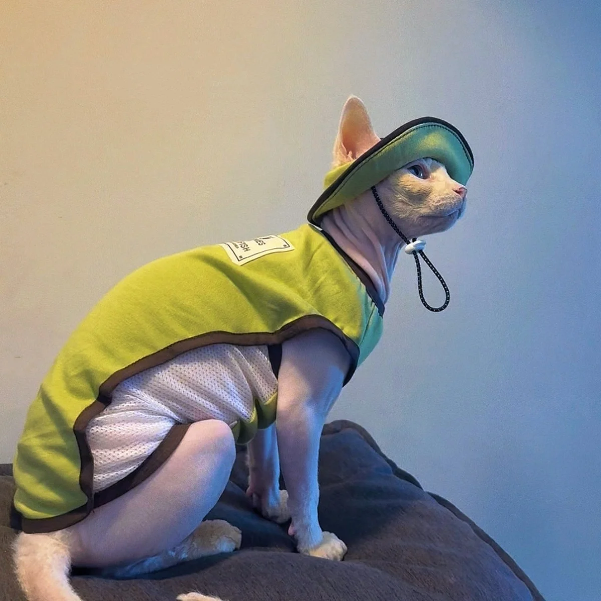Ropa verano para gatos sin pelo Devon Rex: chaleco malla verde y gorro - imagen 2