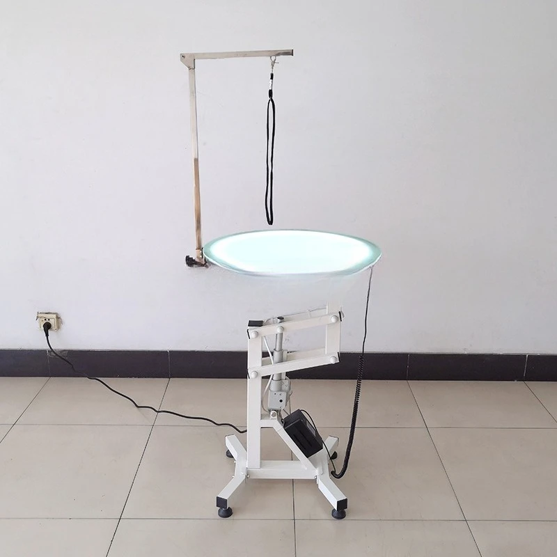 LED   lifting     desktop brightness height adjus   with stainless steel boom