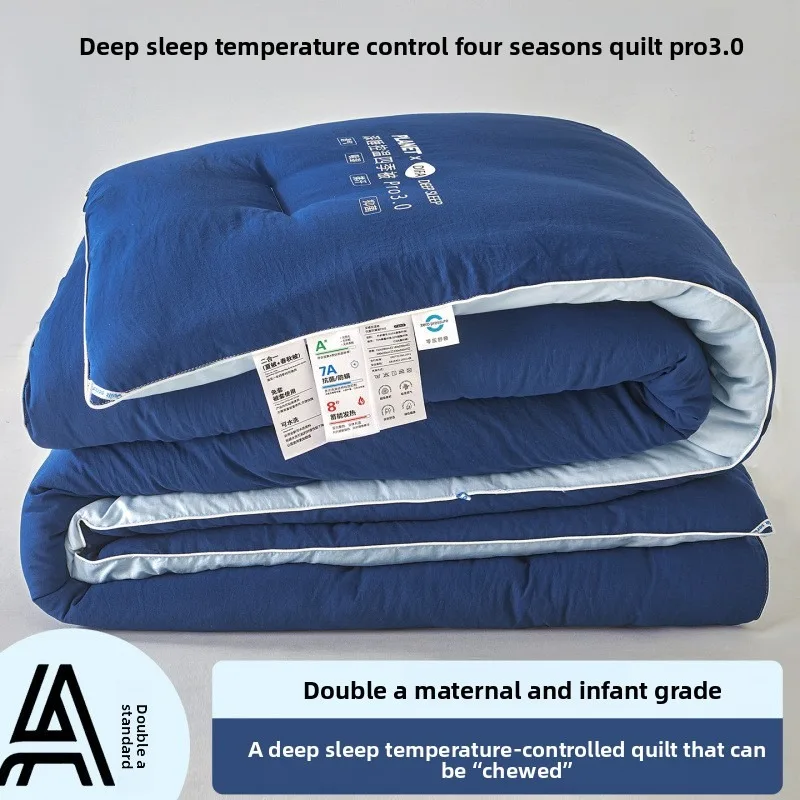 Deep Sleep Blanket Thick and Warm Quilt Core Spring Autumn Quilt Summer Quilt Thick Winter Wholesale Comforter Quilt Thick Quilt