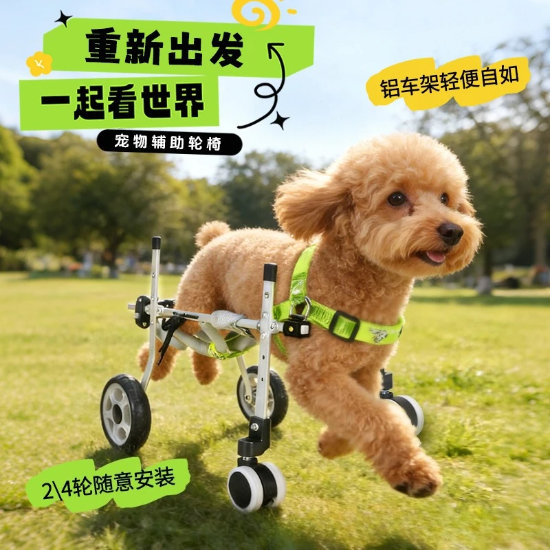 Pet dog Wheelchair Hindlimb disability Rehabilitation Animal assist bracket Four-wheel transportation Hindlimb disability
