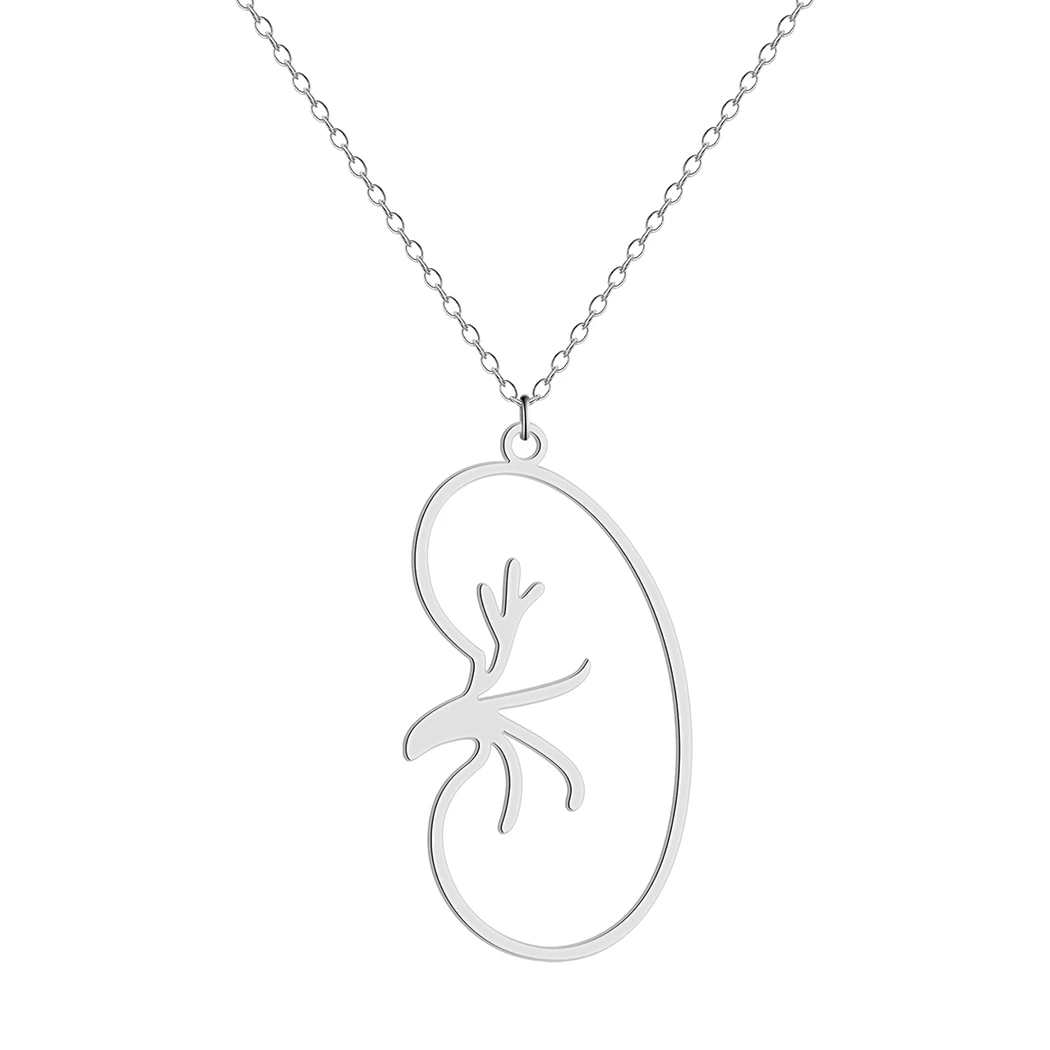 Fashion Kidney Medical Necklace For Women Stainless Steel Pendant Choker Urologist Nephrologist Doctor Jewelry Birthday Gifts - Image 4
