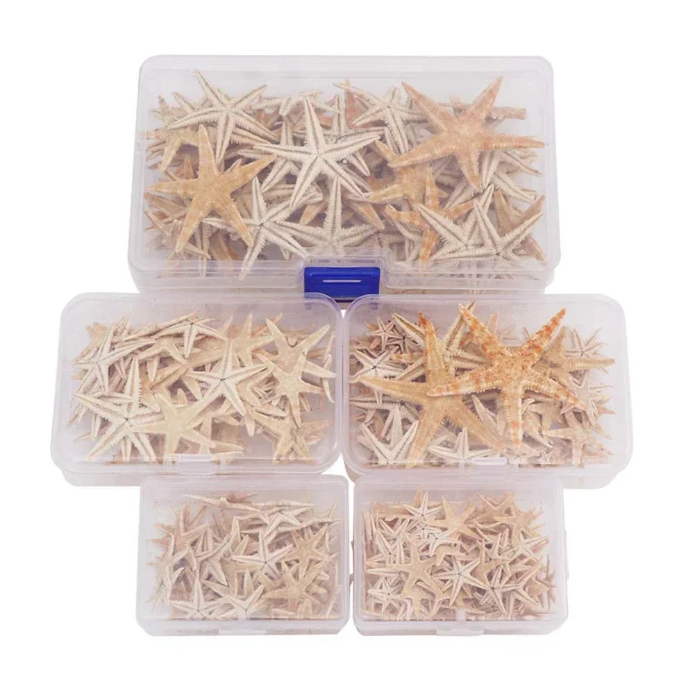 20/50/100Pcs Natural Starfish Box Decoration Fish Tank Tiny Size1-5cm Landscape Materials DIY Beach Crafts Home Decoration