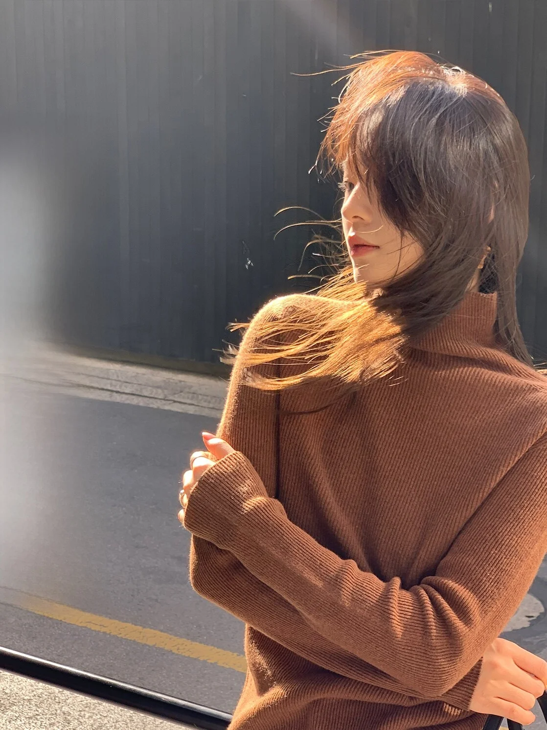 

Black Wool High Neck Knitted Base Shirt Women's Autumn Winter Style Small Size Top Layered Clothing Long Sleeve Woolen Sweater